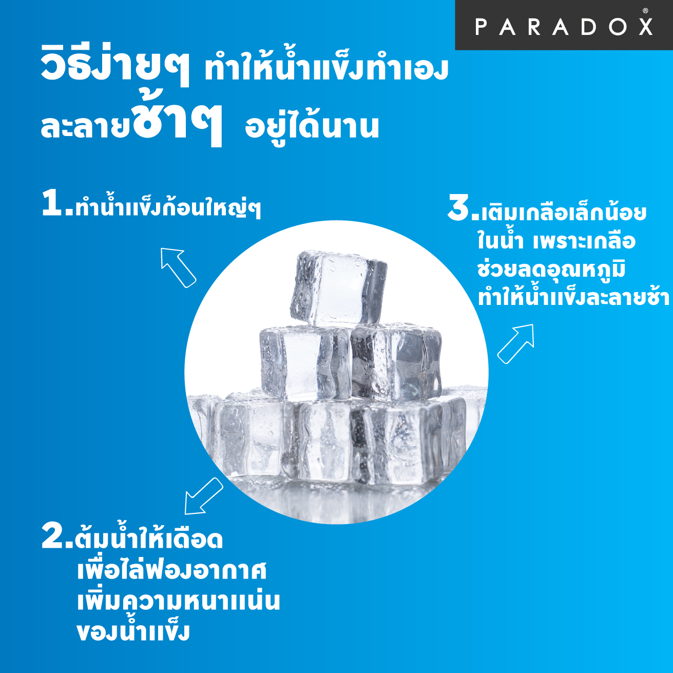 พิมพ์น้ำแข็งกลม 2 ช่อง รูปที่ 2